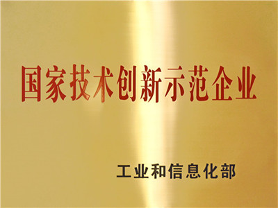 技術(shù)創(chuàng)新示范企業(yè)